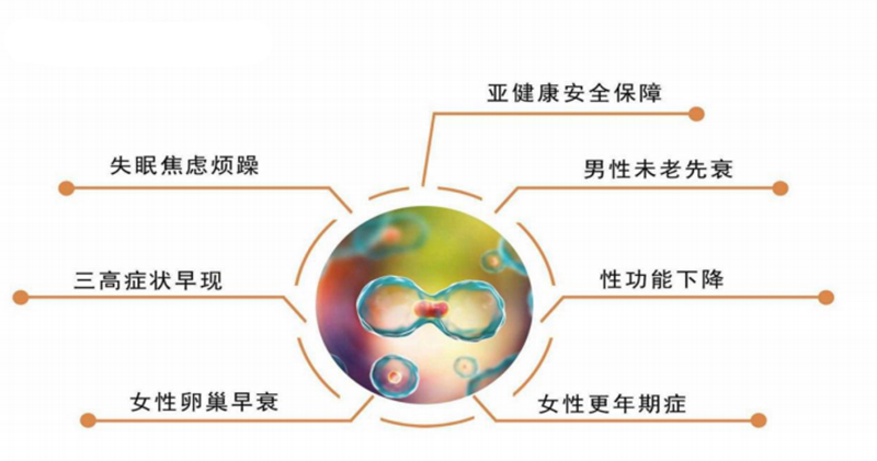 脂肪干细胞.jpg