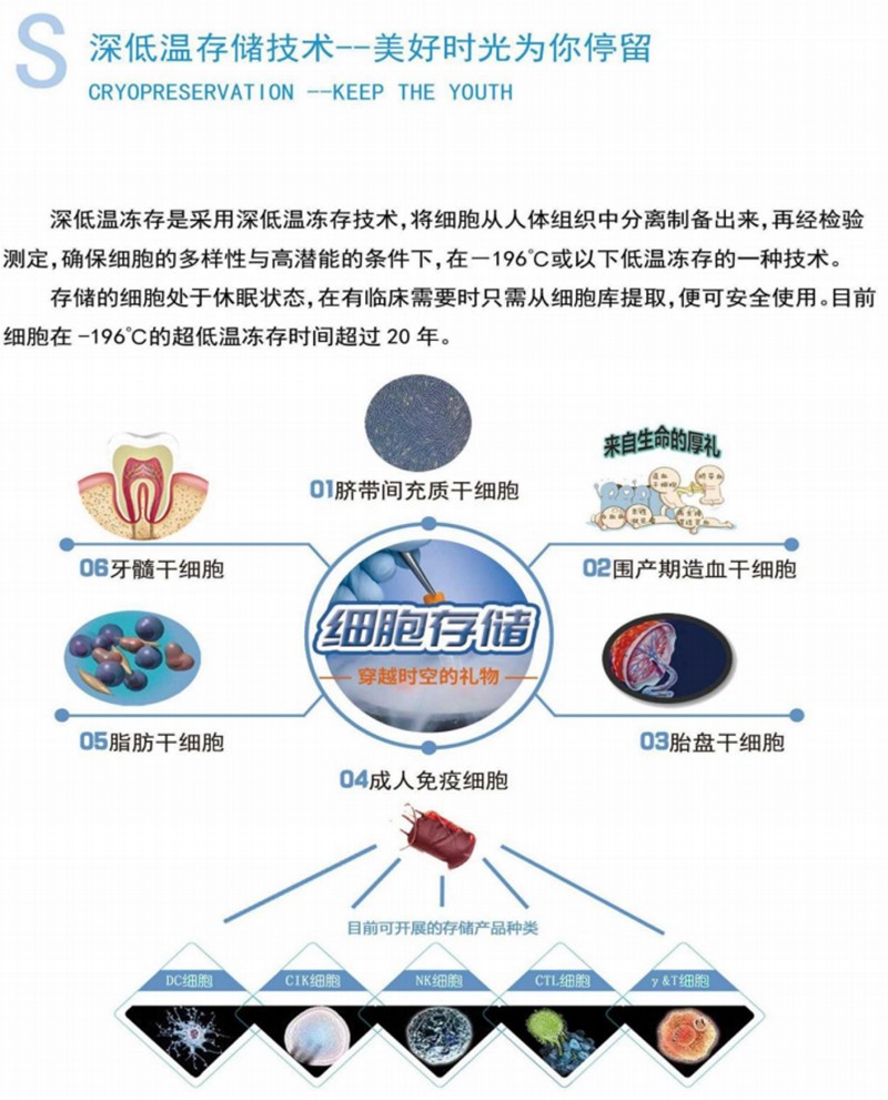 图层 26.jpg