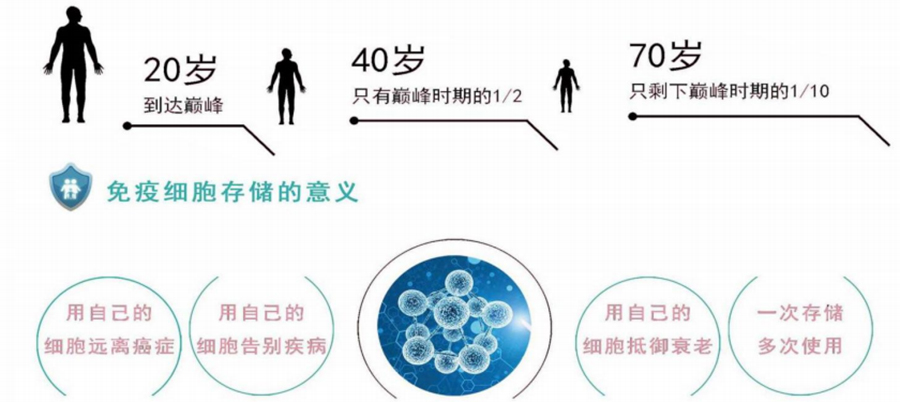 图层 251.jpg