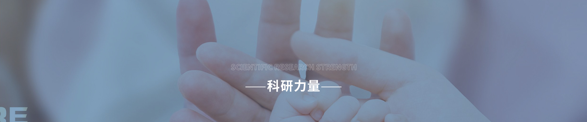 专家团队&科研力量
